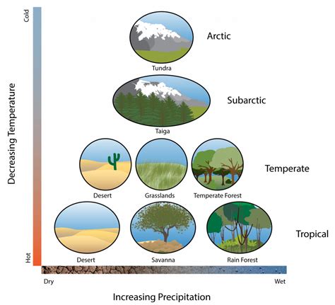 Geographic Distribution Of Biodiversity Healing Earth