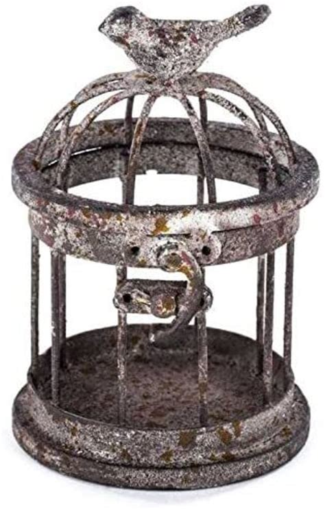 Iron Bird Cages Antique Vintage Ideas On Foter