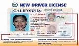 Images of Dui Restricted License