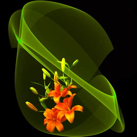 Daisy flower flowers brandon flowers animated gif. Flowers: Animated Flowers