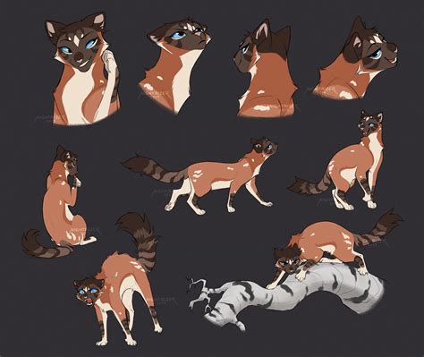 Sketch Page For Tahtienvalo By Nightrizer On DeviantArt Warrior Cats