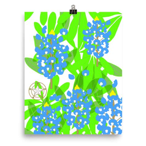 Clip art is a great way to help illustrate your diagrams and. Flowers clipart bluebonnet, Flowers bluebonnet Transparent ...