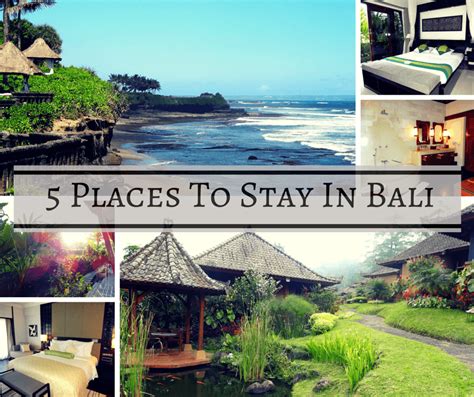 5 Places To Stay In Bali | Buddy The Traveling Monkey