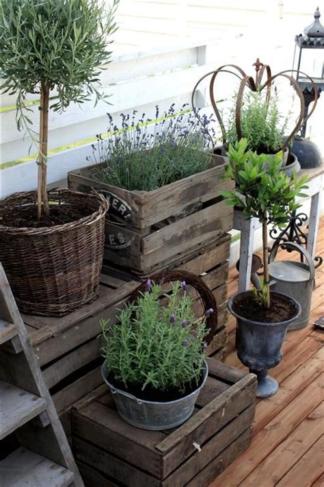 Check spelling or type a new query. Home Grown Container Herbs | Simpsons Garden Centre