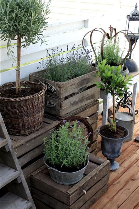 An herb container garden is both beautiful and functional. Home Grown Container Herbs | Simpsons Garden Centre