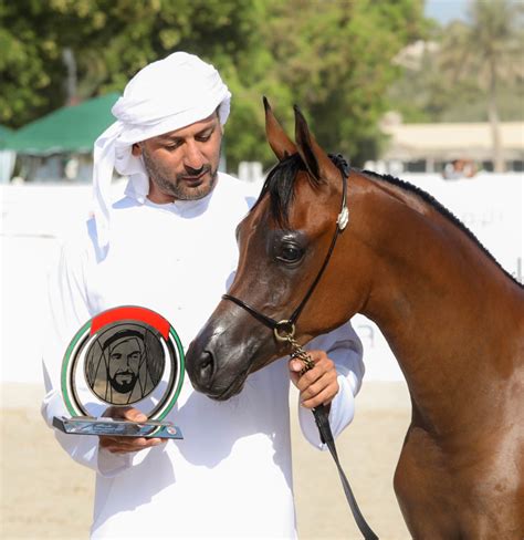 Emirates Arabian Horse Breeders Championship Dubai Arabian Horse Stud