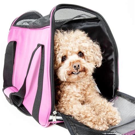 Pet Life 21 Ft X 96 Ft X 13 Ft Collapsible Nylon Pet Carrier In The