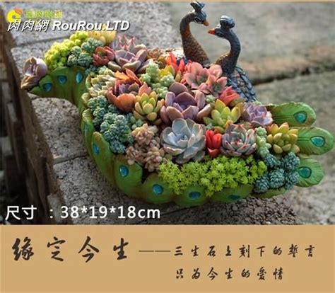 七夕禮物居然是印有彼此姓名及紀念日的法國百年精品香氛，原來疫情下的情人節可以如此浪漫難忘！ 嘿，情人節想好要送什麼了嗎？ by sasa jiang 七夕/情人節要送什麼多肉禮物_多肉植物
