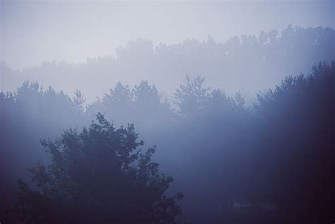 Fotos Gratis Paisaje árbol Naturaleza Bosque Montaña Nube Cielo
