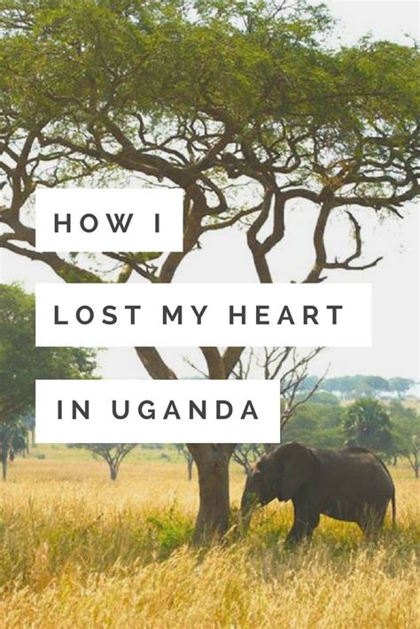 Why You Should Travel To Uganda Now Uganda Travel Africa Travel Uganda