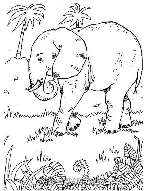 Size this image is 37489 bytes and the resolution 512 x 384 px. realistic-elephant-coloring-pages-017 - Kids Time Fun Places to Visit and Free Coloring Book ...