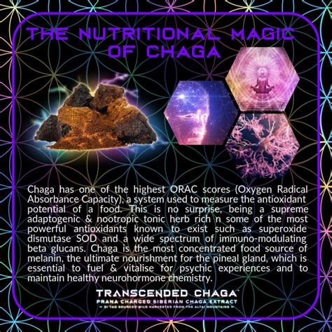 Transcended Chaga Primal Alchemy Adamraw