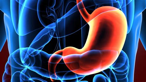 The Signs And Symptoms Of Gastric Cancer Howstuffworks