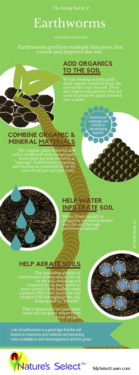 Earthworms The Living Soil Infographic Natures Select