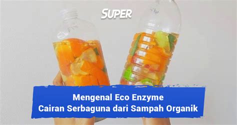 Mengenal Eco Enzyme Beserta Cara Membuatnya