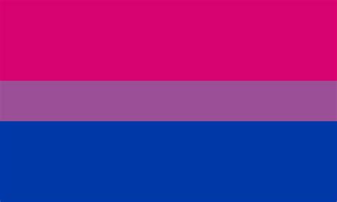 lgbtq bisexual pride flag 3 x 5 with grommets 840806100814 ebay