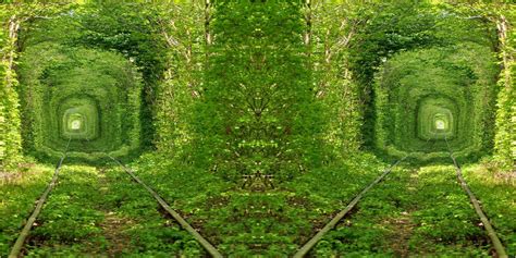 45 Green Wallpaper Designs Nature Wallpapersafari