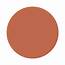 Brown Circle Emoji  What 類