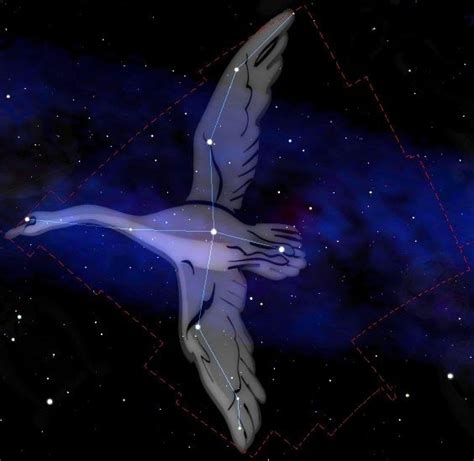 A La Decouverte Des Etoiles Constellation Du Cygne Cygnus