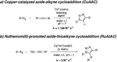 A Copper Catalyzed Azide Alkyne Cycloaddition B Rutheniumpromoted