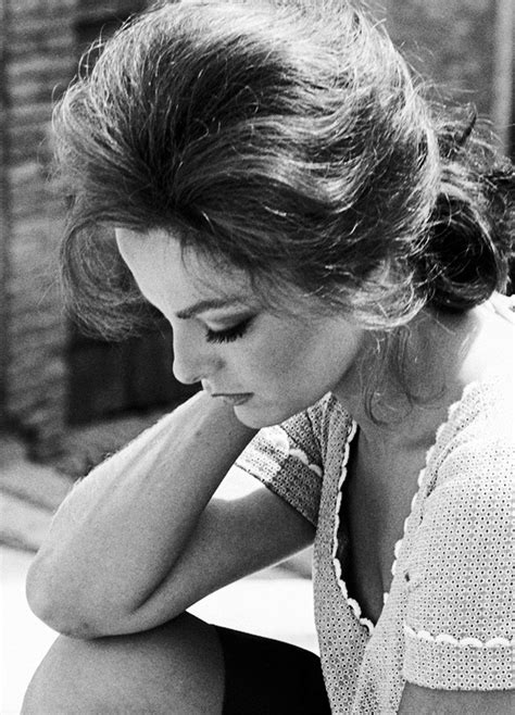 Picture Of Virna Lisi
