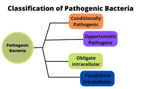 Bacterial Pathogenicity Classification Of Pathogenic Bacteria