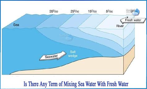 Is There Any Term Of Mixing Sea Water With Fresh Water