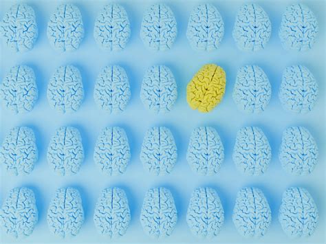 What is cognitive bias? | Collabree