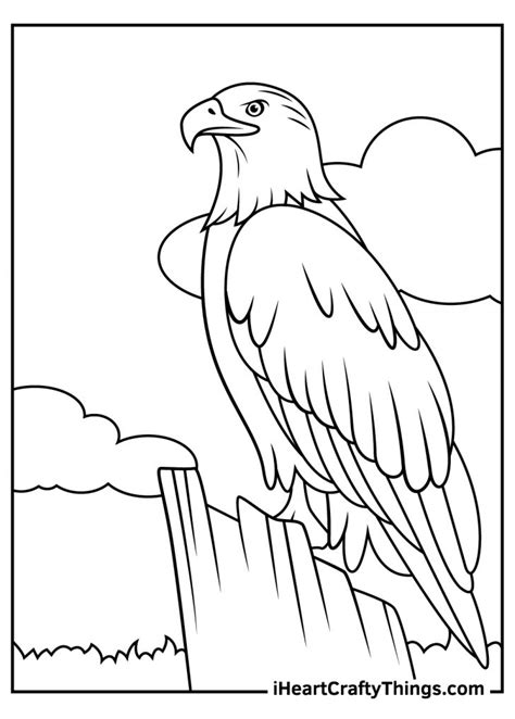 Bald Eagle Coloring Pages Updated 2024