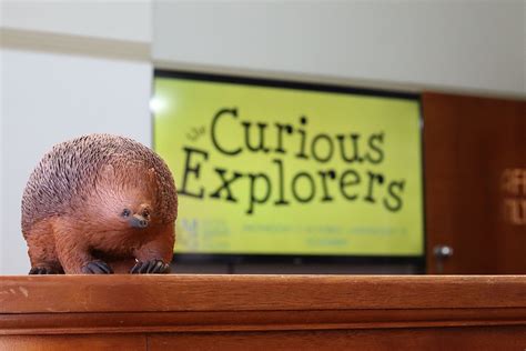 Leeton Council Unveils Curious Explorers Exhibit Mirage News