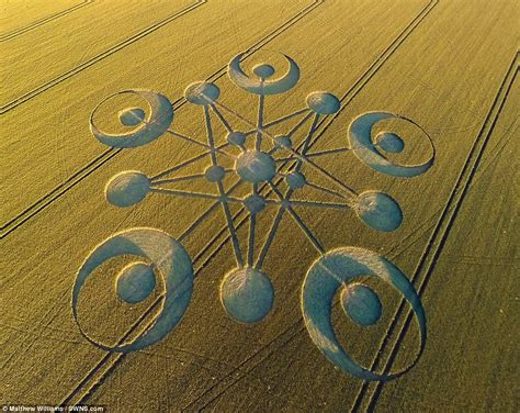 Crop Circle Appears In Dorset Field Sparking Interest In Who Or What