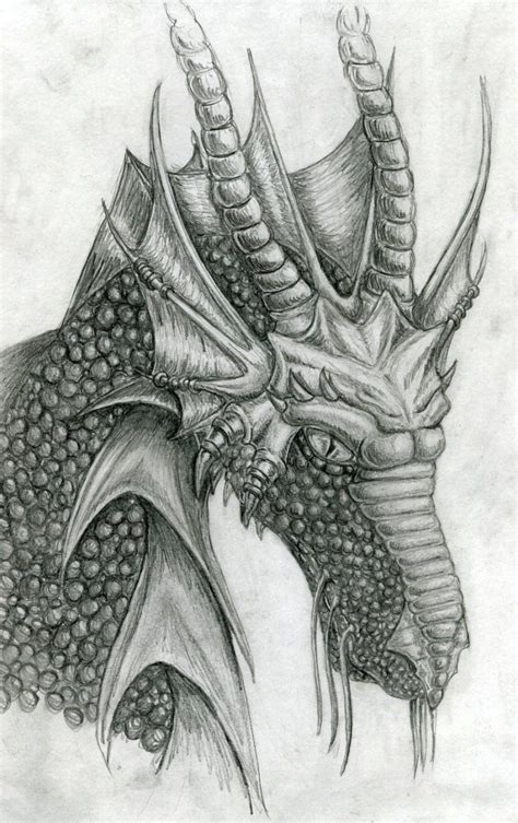 Pencil Drawing Of Dragon Vudesk D