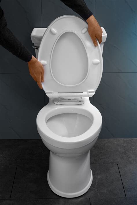 Toilet Seat Removable And With Automatic Closing System Hamberger