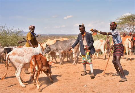 It was later renamed the somali youth league (syl). UNDP's New Weather App Helps Somali Pastoralists - BORGEN