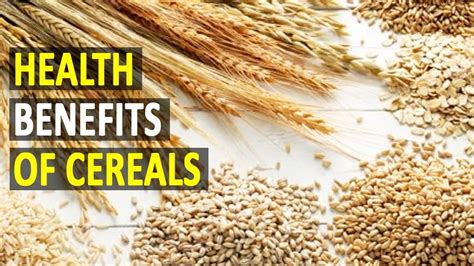 Health Benefits Of Cereals Health Sutra Best Health Tips