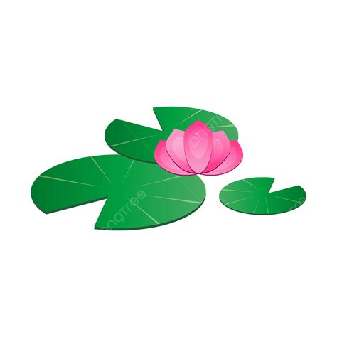Water Lily Flower Clipart Transparent Png Hd Dark Green Leaf Water