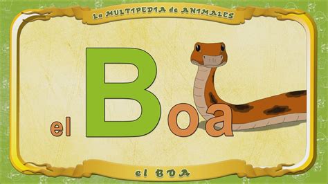 La Multipedia De Animales Letra B El Boa Youtube