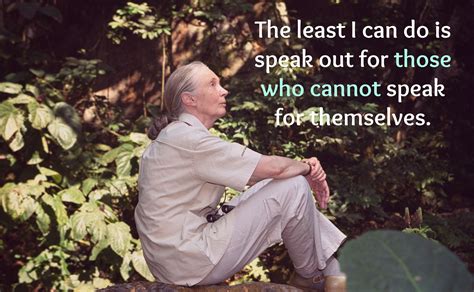 These Amazing Jane Goodall Quotes Will Inspire You To Fight For Animals