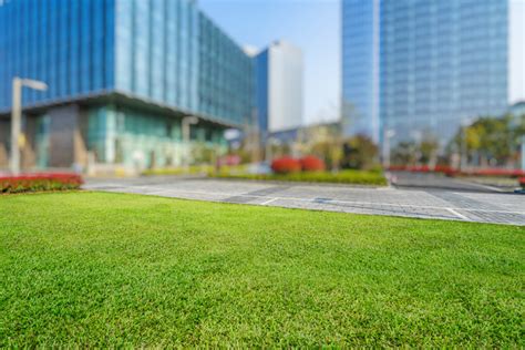 Professional Commercial Landscaping Is A Boon For Your Business