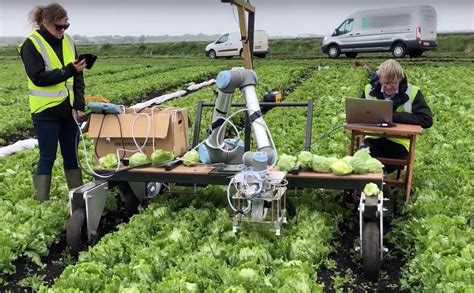 Vegebot Robot Applies Machine Learning To Harvest Lettuce