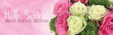 Vt selle ettevõtte 6 suhtlusvõrgustiku lehekülge, sh facebook ja google, tundi 2655 capital cir ne #1, tallahassee, fl 32308, usa. Tallahassee Florist | Tallahassee FL Flower Shop ...