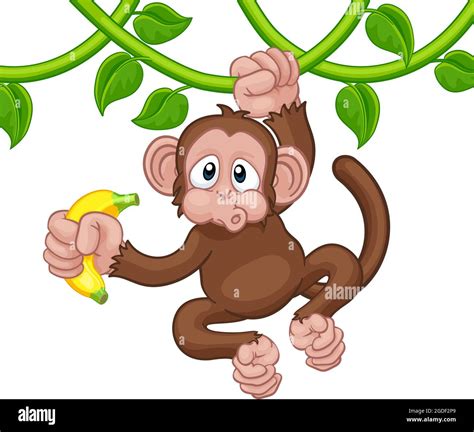 Mono Comiendo Guineo Animado Imágenes Vectoriales De Stock Alamy