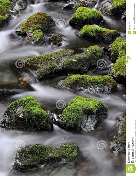 Water Flowing Around Mossy Rocks Stock Image 18380701