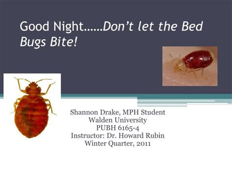 Ppt Good Night Dont Let The Bed Bugs Bite Powerpoint Presentation