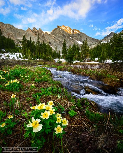Out of winter's long bleak nights come longer days, more sunshine, and a new colorful natural palette of flowers. July Spring | Backcountry, Rocky Mountain National Park ...
