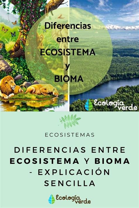 Cuadro Comparativo Entre Bioma Y Ecosistema Kulturaupice Porn Sex Picture