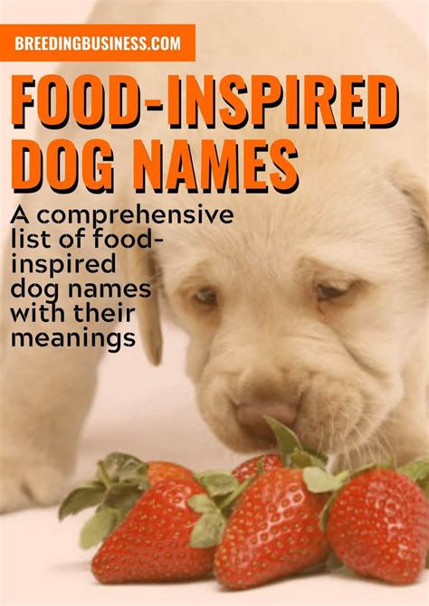 So we brought all of our precious pups together to make a cute dog. Food-Inspired Dog Names: 100+ Culinary & Cuisine Name ...