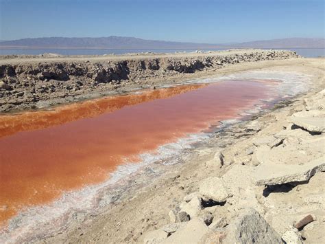 It is about 227 feet below sea level. Crisis looming at the Salton Sea | Audubon California