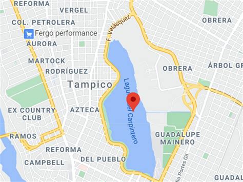 De acuerdo con el sol de tampico el cocodrilo fue localizado alrededor de las 10:00 horas y estaba a unos 300 metros de donde se ubica un mariposario. Muere un hombre tras ser atacado por cocodrilo en Tampico ...