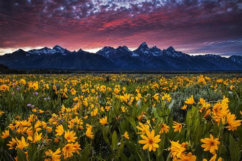 Springtime In The Mountains Photograph By Andrew Soundarajan Pixels